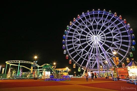 🎡 하이! 카랏토 요코쵸